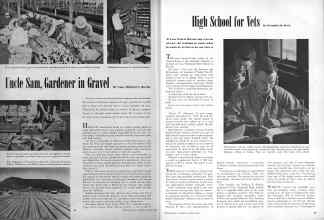 Better Homes & Gardens August 1945 Magazine Article: Page 24