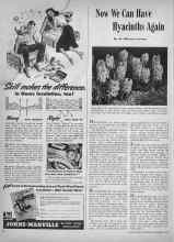 Better Homes & Gardens September 1945 Magazine Article: Now We Can Have Hyacinths Again