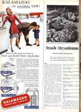Better Homes & Gardens September 1945 Magazine Article: Versatile Chrysanthemums