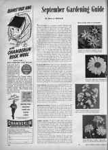Better Homes & Gardens September 1945 Magazine Article: September Gardening Guide