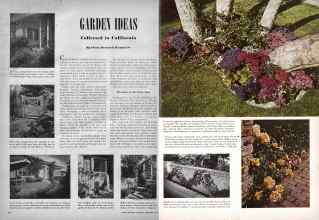 Better Homes & Gardens September 1945 Magazine Article: GARDEN IDEAS Collected in California