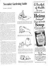 Better Homes & Gardens November 1945 Magazine Article: November Gardening Guide