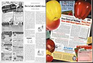 Better Homes & Gardens December 1945 Magazine Article: Page 96