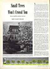 Better Homes & Gardens January 1946 Magazine Article: Small Trees Won't Crowd You