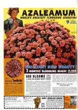 Better Homes & Gardens January 1946 Magazine Article: Page 100