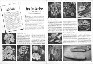Better Homes & Gardens January 1946 Magazine Article: New for Gardens
