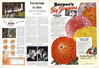 Better Homes & Gardens January 1946 Magazine Article: Page 74