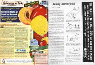 Better Homes & Gardens January 1946 Magazine Article: Page 76