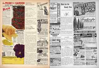 Better Homes & Gardens January 1946 Magazine Article: Page 88