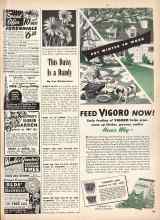 Better Homes & Gardens February 1946 Magazine Article: This Daisy Is a Dandy