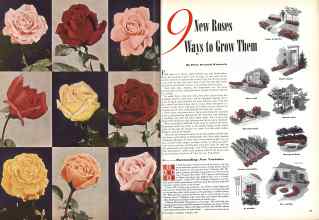 Better Homes & Gardens February 1946 Magazine Article: 9 New Roses Ways to Grow Them