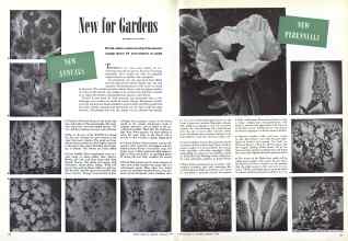 Better Homes & Gardens February 1946 Magazine Article: New for Gardens