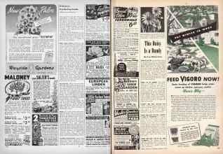 Better Homes & Gardens February 1946 Magazine Article: Page 124