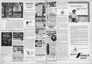 Better Homes & Gardens February 1946 Magazine Article: THE DIARY of a Plain Dirt Gardener