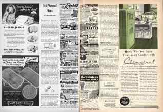 Better Homes & Gardens February 1946 Magazine Article: Self-Watered Plants