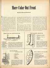 Better Homes & Gardens March 1946 Magazine Article: More Color Out Front