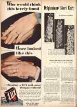 Better Homes & Gardens March 1946 Magazine Article: Delphiniums Start Early