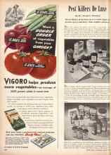 Better Homes & Gardens March 1946 Magazine Article: Pest Killers De Luxe