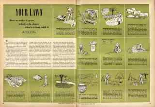 Better Homes & Gardens March 1946 Magazine Article: YOUR LAWN