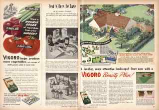 Better Homes & Gardens March 1946 Magazine Article: Page 106