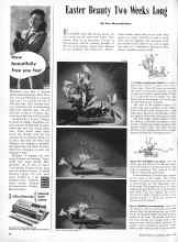 Better Homes & Gardens April 1946 Magazine Article: Easter Beauty Two Weeks Long
