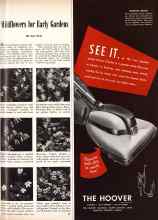 Better Homes & Gardens April 1946 Magazine Article: Wildflowers for Early Gardens