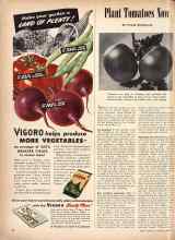 Better Homes & Gardens April 1946 Magazine Article: Plant Tomatoes Now