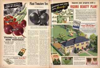 Better Homes & Gardens April 1946 Magazine Article: Page 98