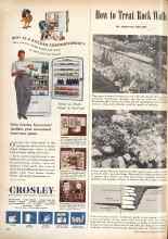 Better Homes & Gardens June 1946 Magazine Article: How to Treat Rook Walls