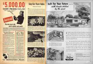 Better Homes & Gardens June 1946 Magazine Article: Page 14