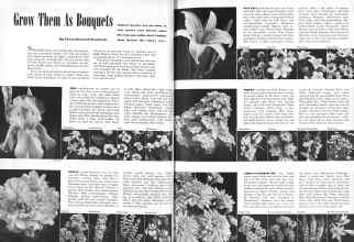Better Homes & Gardens June 1946 Magazine Article: Grow Them Is Bouquets