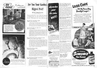 Better Homes & Gardens June 1946 Magazine Article: Are You Your Garden's Biggest Pest?