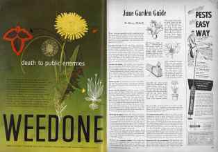 Better Homes & Gardens June 1946 Magazine Article: Page 128