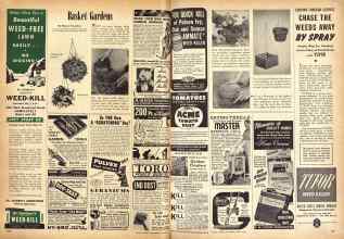 Better Homes & Gardens June 1946 Magazine Article: Basket Gardens