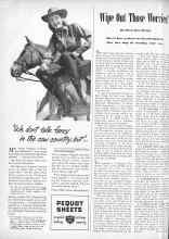 Better Homes & Gardens July 1946 Magazine Article: Wipe Out Those Worries!