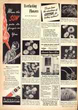 Better Homes & Gardens July 1946 Magazine Article: Everlasting Flowers