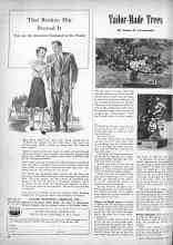 Better Homes & Gardens July 1946 Magazine Article: Tailor-Made Trees