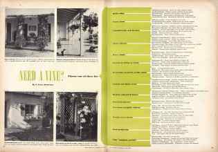 Better Homes & Gardens July 1946 Magazine Article: Page 26