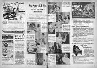Better Homes & Gardens July 1946 Magazine Article: New Sprays Kill Flies