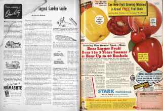 Better Homes & Gardens August 1946 Magazine Article: Page 96