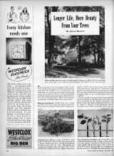 Better Homes & Gardens September 1946 Magazine Article: Longer Life, More Beauty From Your Trees