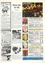 Better Homes & Gardens September 1946 Magazine Article: Buttons From the Wild