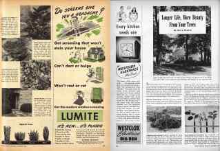 Better Homes & Gardens September 1946 Magazine Article: Page 123