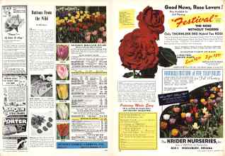 Better Homes & Gardens September 1946 Magazine Article: Page 165