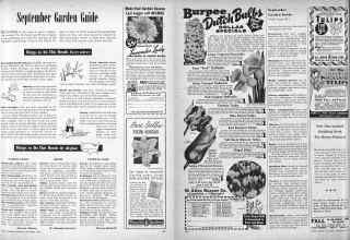 Better Homes & Gardens September 1946 Magazine Article: September Garden Guide