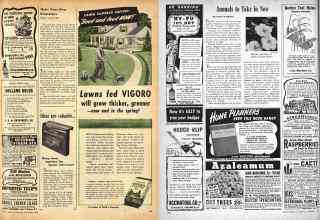 Better Homes & Gardens September 1946 Magazine Article: Page 169