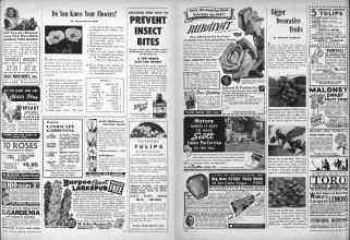 Better Homes & Gardens September 1946 Magazine Article: Page 171