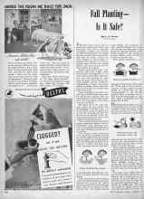 Better Homes & Gardens October 1946 Magazine Article: Fall Planting--Is It Safe?