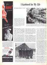 Better Homes & Gardens October 1946 Magazine Article: I Gardened for My Life