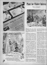 Better Homes & Gardens October 1946 Magazine Article: Plant for Winter Interest